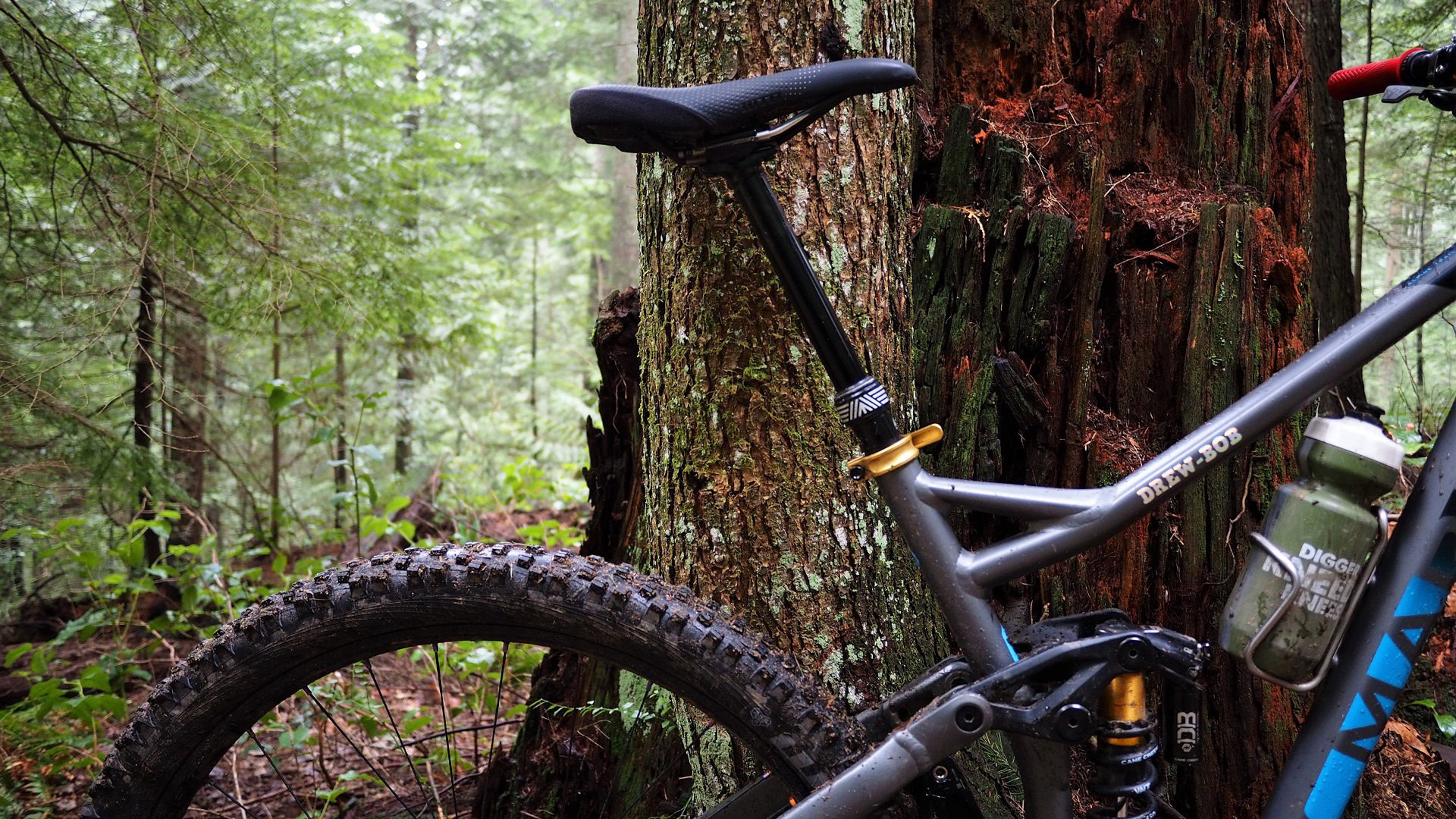 NSMB_Reviews_PNW_Components_3r